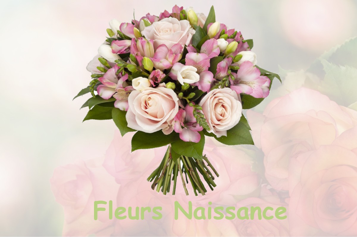 fleurs naissance FLOTTEMANVILLE-HAGUE